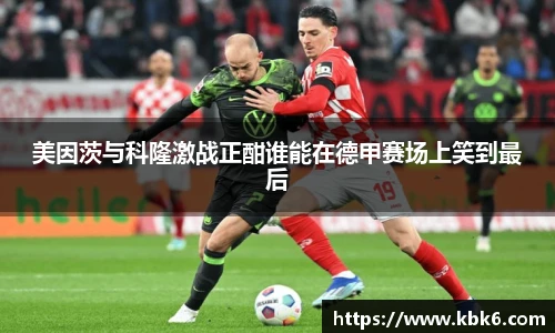 6T体育官网